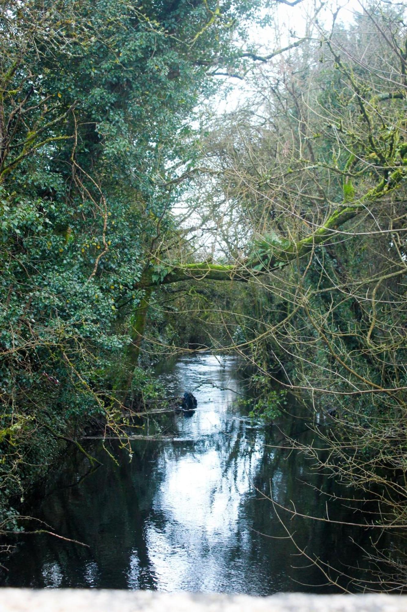 Riverside Cottage In The Burren Corofin  エクステリア 写真